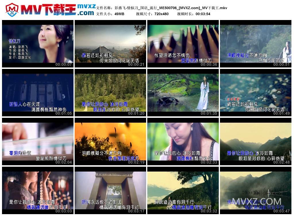 彭燕飞-情似刀_国语_流行_ME500706